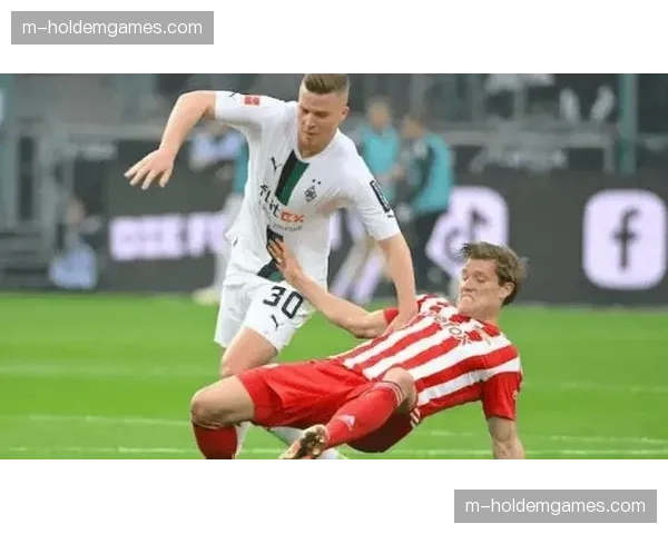 海登海姆迎战霍芬海姆,两队均无降级压力 海登海姆迎战霍芬海姆,两队均无降级压力